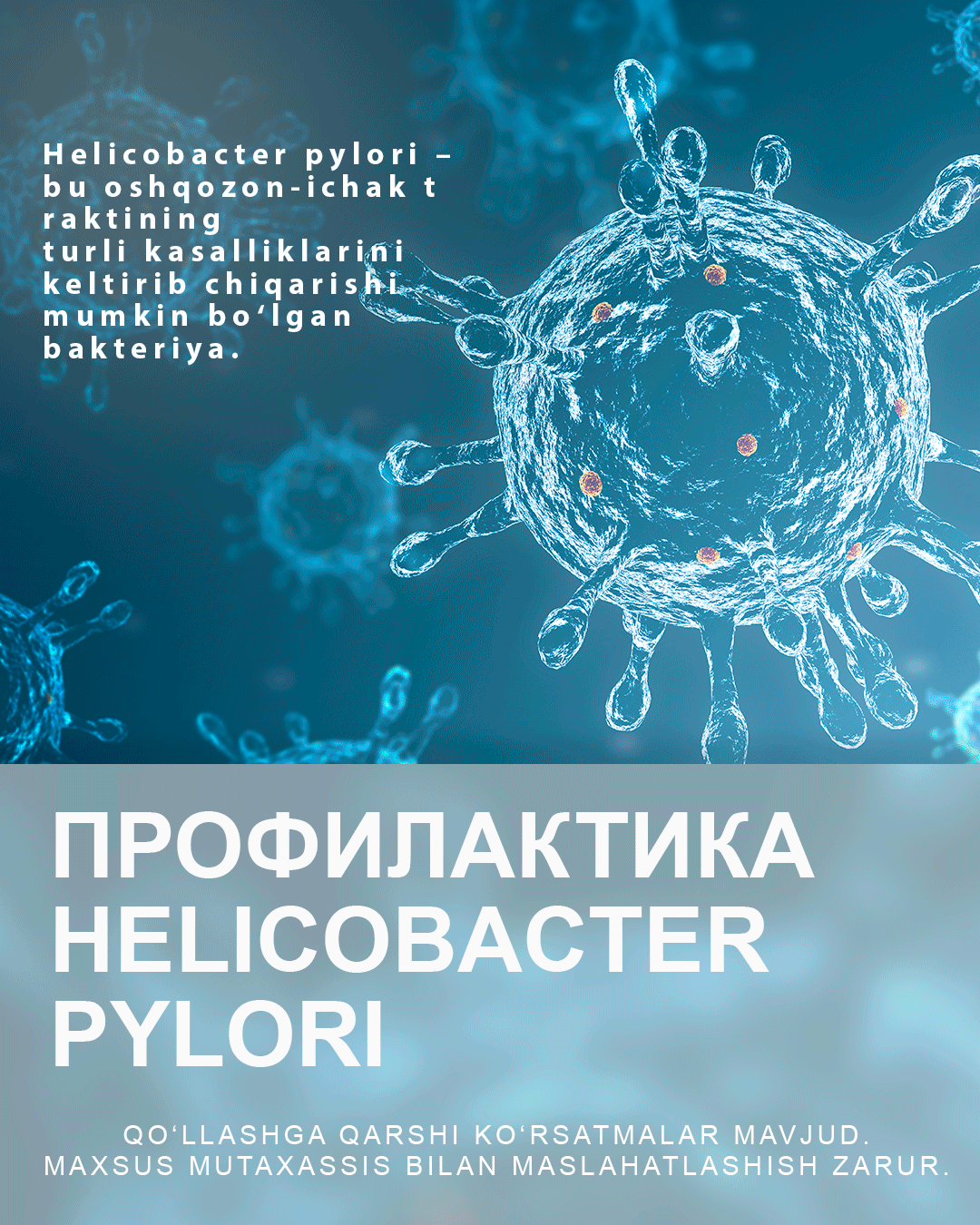 Профилактика Helicobacter pylori