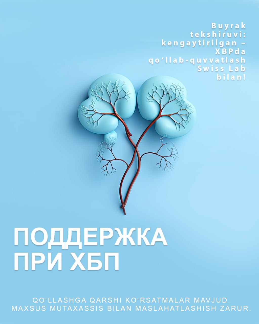 Поддержка при ХБП